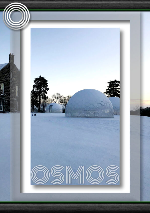 014OSM OSMOS GEODESIC DOME – WHITE GARDEN